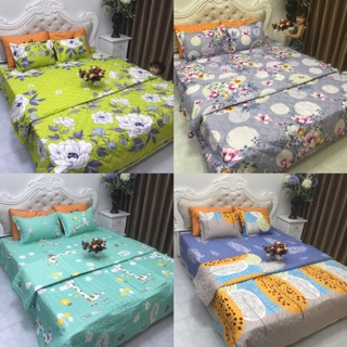 Bộ Drap gối mền chần gòn cao cấp