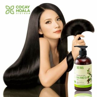 Dầu gội Thảo dược Hà thủ Ô
