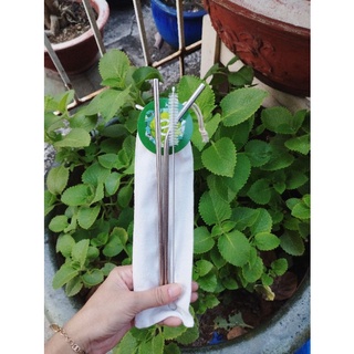 Combo 2 ống hút inox kèm cọ rửa