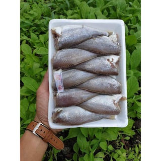 Cá Đù 1 Nắng (Hỏa Tốc HCM)