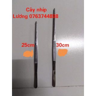 nhíp inox cho hồ thủy sinh