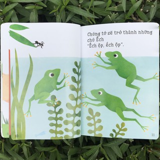 Sách - Ehon Accototo - (0-6 tuổi) (4 quyển lẻ tùy chọn)