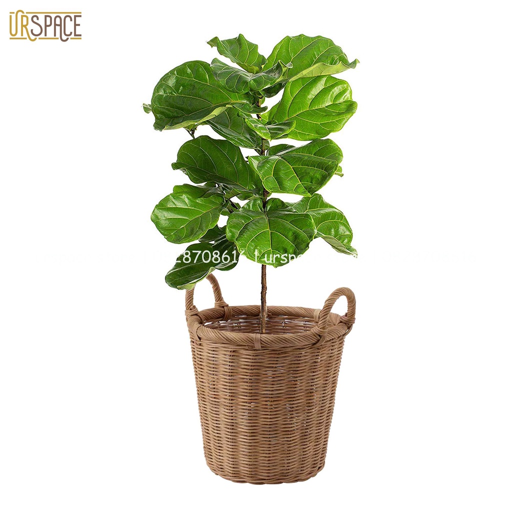 Sọt mây tròn URSPACE trồng cây, đựng đồ, sắp xếp không gian, trang trí decor có quai cầm