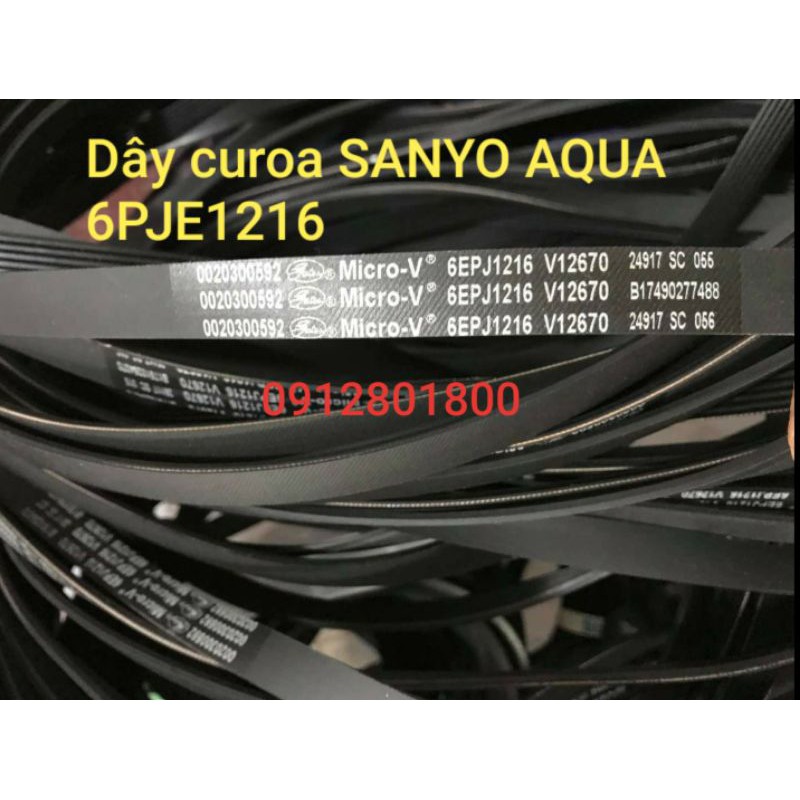 [Mã ELHA22 giảm 5% đơn 300K] Dây curoa máy giặt cửa ngang Sanyo Aqua 1216 (6EPJ) chính hãng