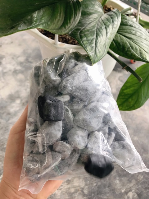 Đá sỏi đen trang trí hồ cá