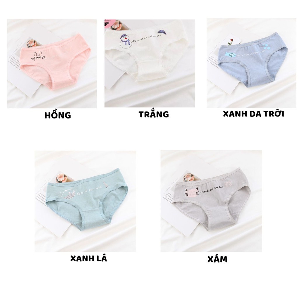 Quần Lót Nữ - Quần Lót Nữ Cotton kháng khuẩn mềm mại màu sắc trẻ trung hình Chibi dễ thương DAN STORE MÃ 026