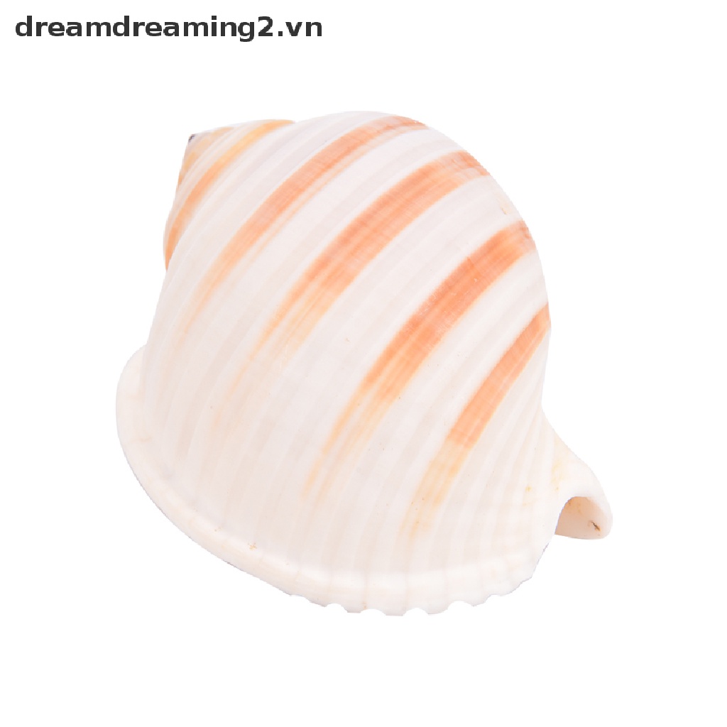 1 Vỏ Vít Phong Cảnh Đẹp