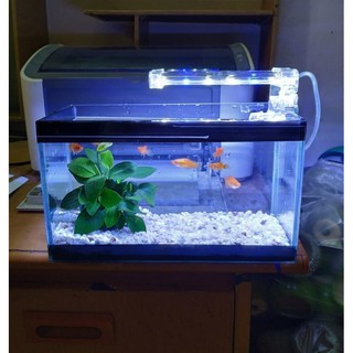 Bể cá mini 25 cm với 4 món (bể, sỏi nền, đèn led, thức ăn cá)