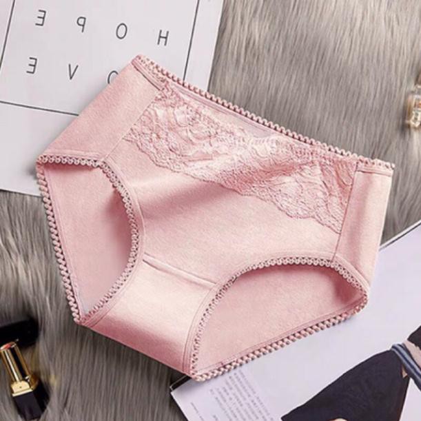 COMBO 5 quần cotton cạp cao phối ren đẹp
