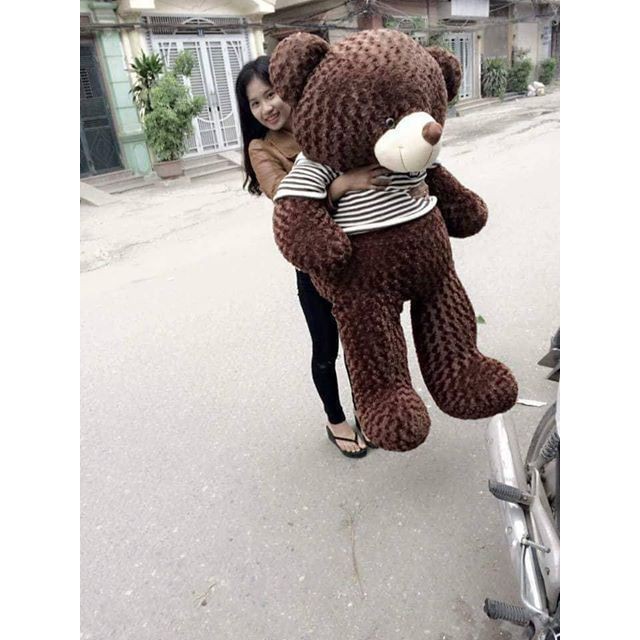 Gấu bông Teddy Cao Cấp khổ vải 1.6m Cao 1.4m  hàng Việt Nam Xuất Khẩu- AEO