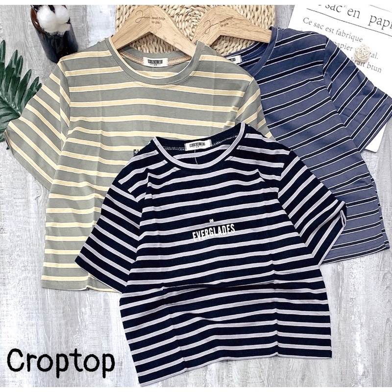 Áo Croptop Nữ Tay Ngắn Form Rộng Tay Lỡ JAM Vải Sọc Cotton In Họa Tiết Freesize 60Kg, Chọn Mẫu Bất Kỳ