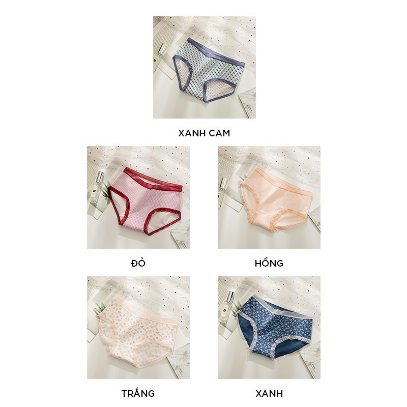 Quần lót nữ cotton cao cấp in hoạ tiết siêu đẹp QL10 | BigBuy360 - bigbuy360.vn