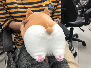 Thú bông chó Corgi ( có hình thật )