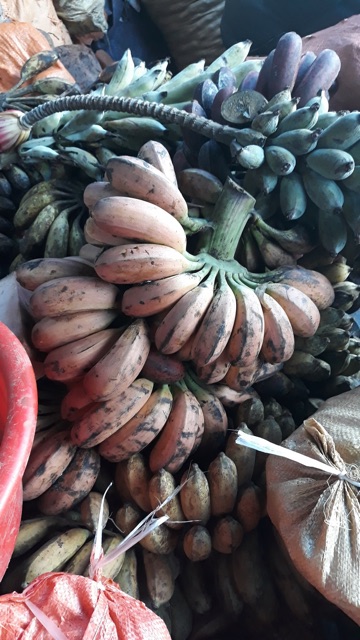 Chuối hột rừng quả chín 1kg - phơi sạch thơm ngon | BigBuy360 - bigbuy360.vn