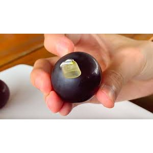 THẠCH NHO HÀN QUỐC LOẠI 7 VIÊN