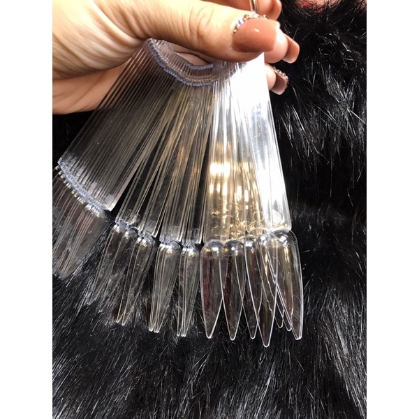 Móng que tập sơn vẽ trưng bày mẫu khách