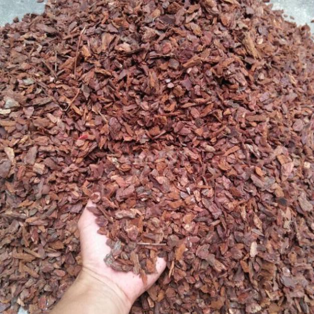 Vỏ thông trồng lan gói 1kg
