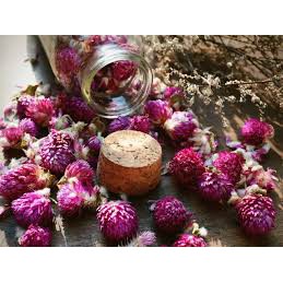 (video+ ảnh thật) CÚC BÁCH NHẬT 100 GRAM