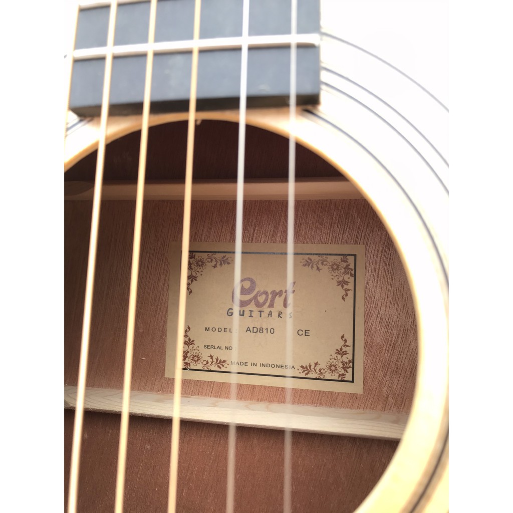 Đàn guitar Acoustic Cort AD810 và AD880CE