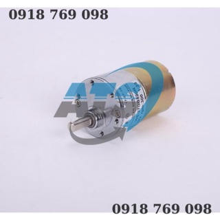 Động cơ giảm tốc 12v cho võng đưa tự động