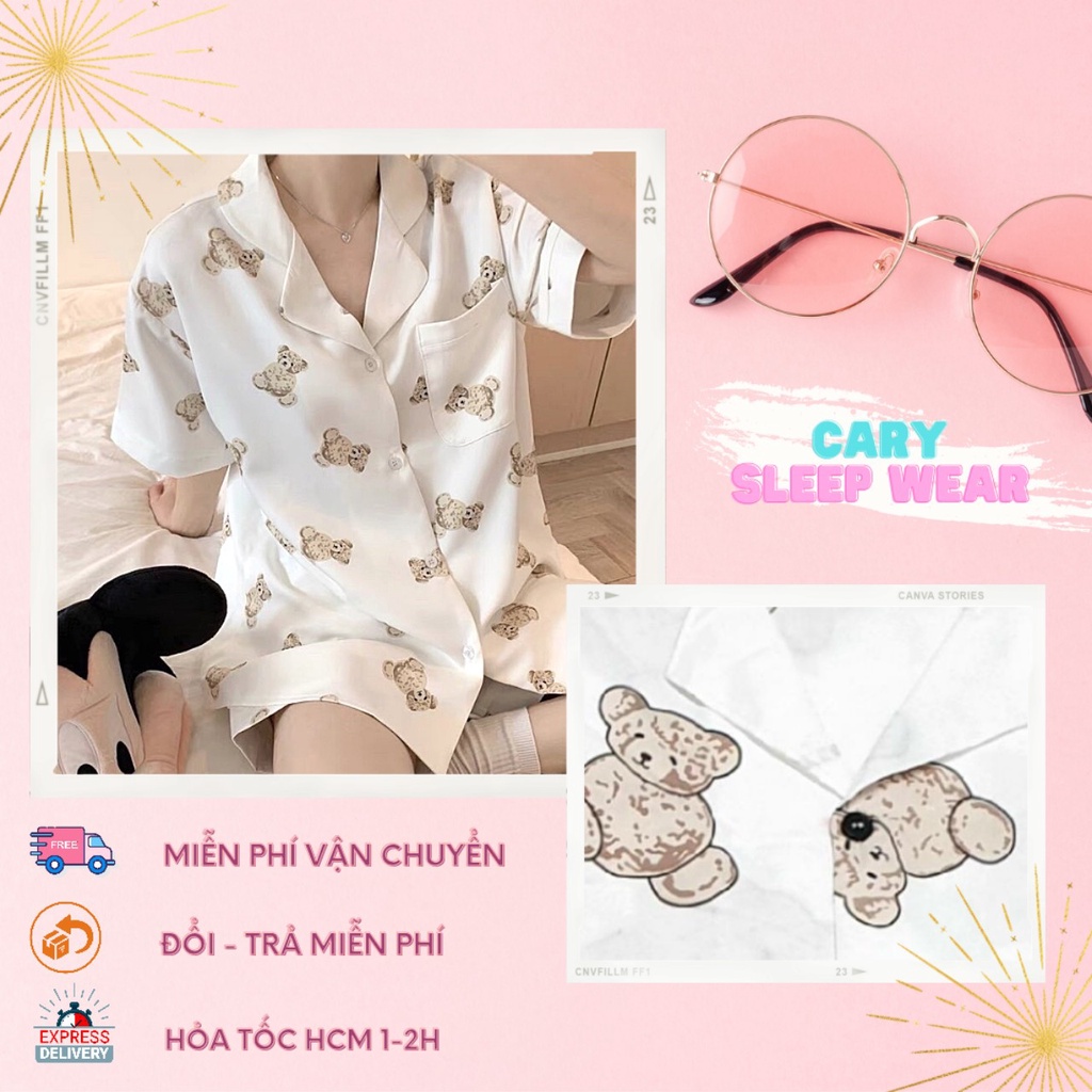Đồ ngủ nữ pijama mặc nhà bộ ngủ hoạt hình cộc tay quần đùi mùa hè dễ thương CARY