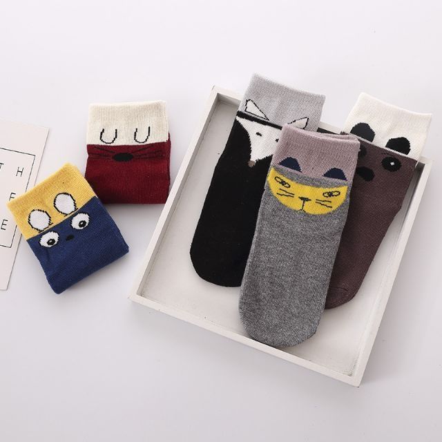 Set 5 đôi tất/vớ trẻ em bé trai/ bé gái từ 1 đến 12 tuổi