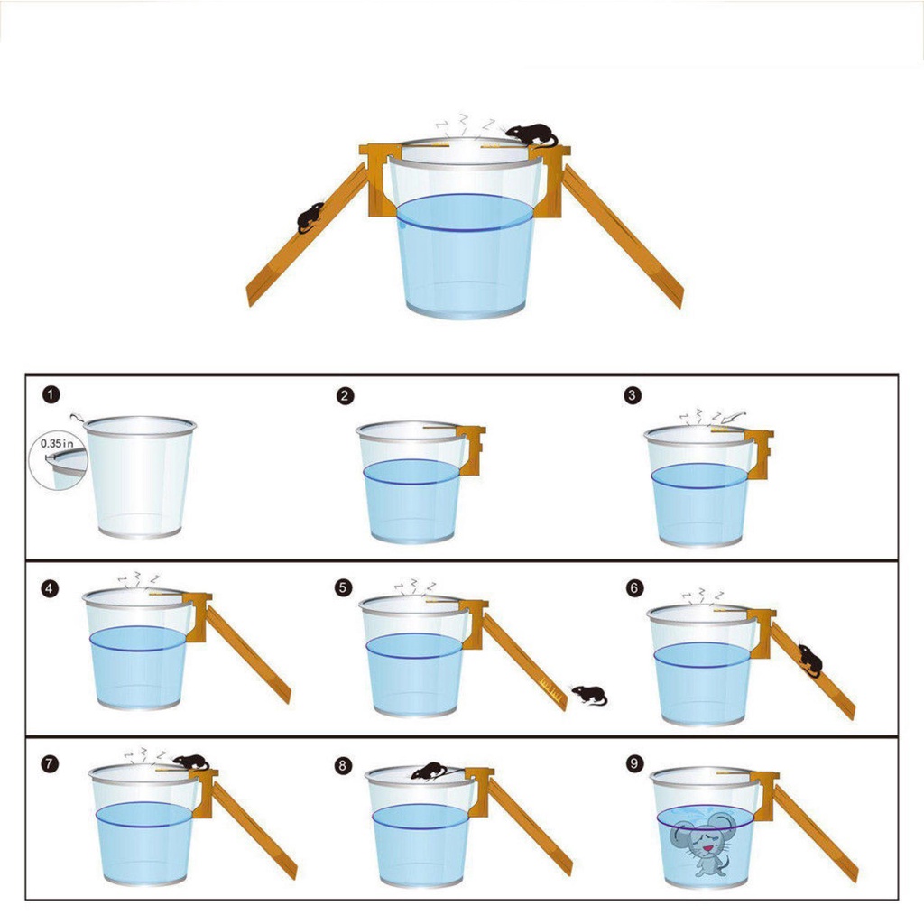 Bẫy chuột tự động thông minh dễ sử dụng