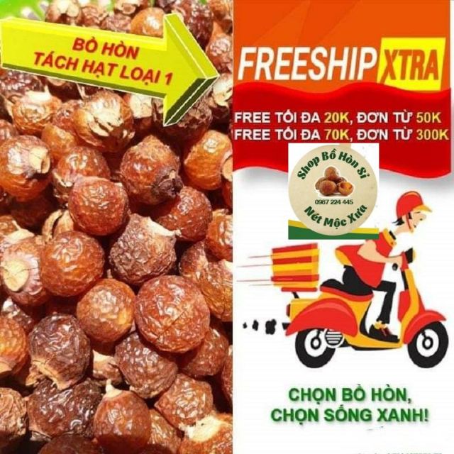 Bồ hòn - quả bồ hòn tách hạt loại 1 (1kg)