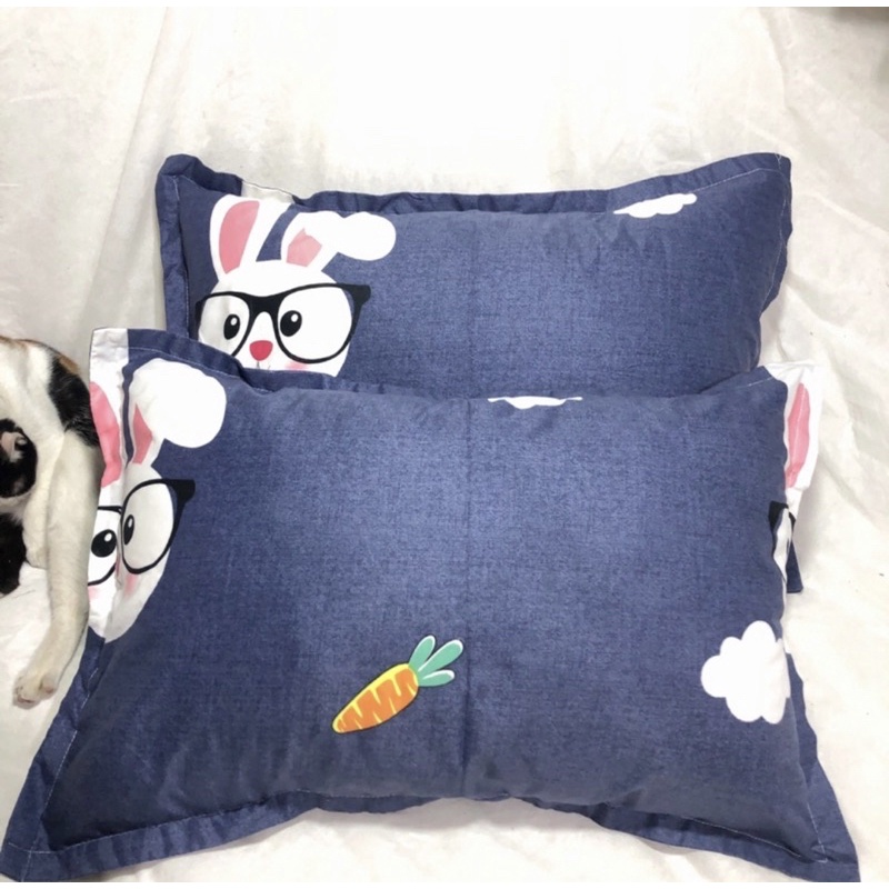 Vỏ gối đầu poly cotton 45x65cm