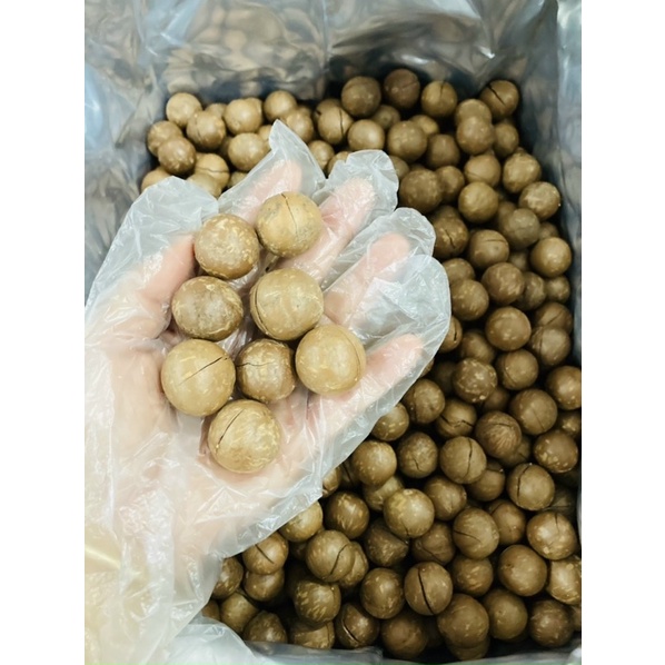HẠT MACCA ÚC NỨT VỎ 500g tặng kèm khui hạt