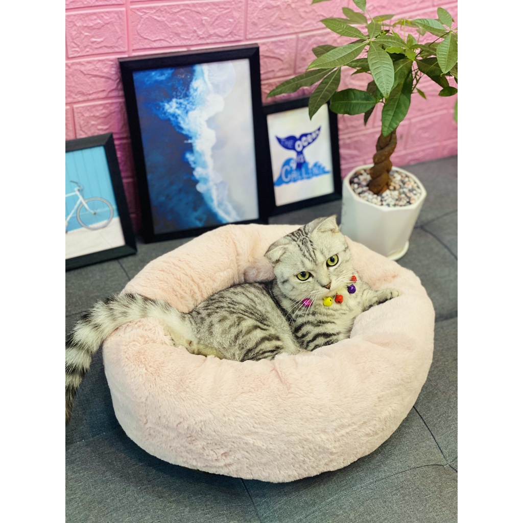 [ HỎA TỐC] Nệm nhung cho chó mèo cao cấp êm mịn