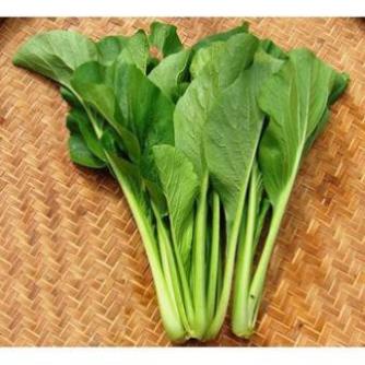 HẠT GIỐNG CẢI NGỌT CỌNG XANH - gói 20 gam