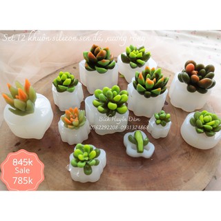 Set 12 khuôn silicon sen đá, xương rồng