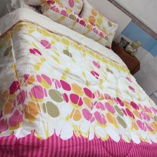 Bộ Chăn Drap Chester Studio Comforter Size 1M8 Mẫu 3