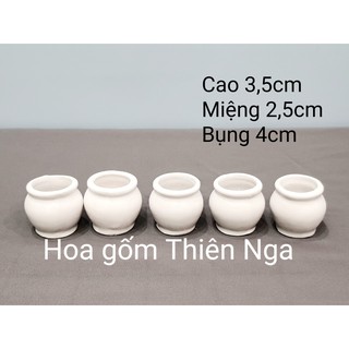 Combo 100 chậu gốm sứ mini