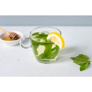 Bạc hà Chocomint - chậu nhỏ
