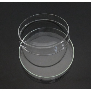 Đĩa petri thủy tinh phi 9cm - TQ