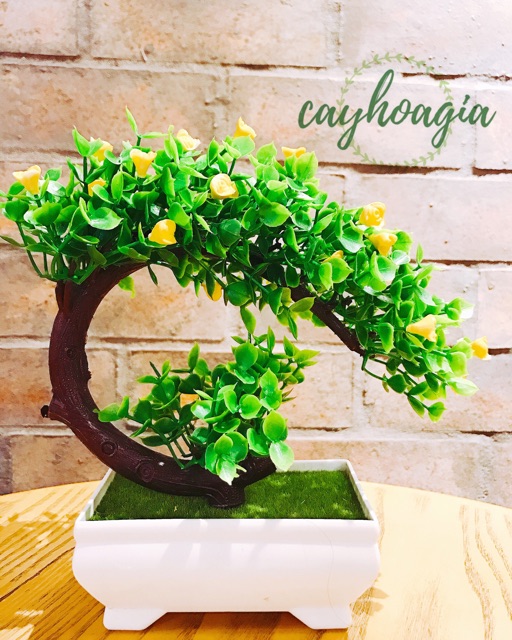 Cây Giả - Chậu Cảnh Bonsai PVC