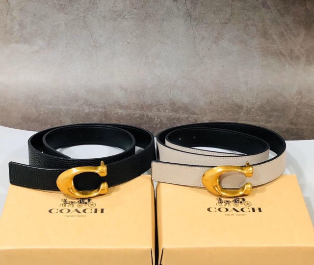 Dây nịt Coach