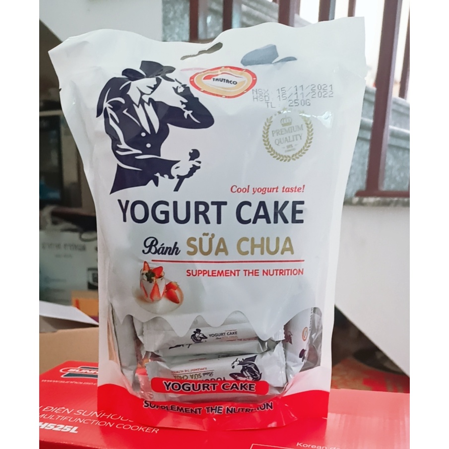 Bánh Sữa Chua Yogurt Cake Túi 250G
