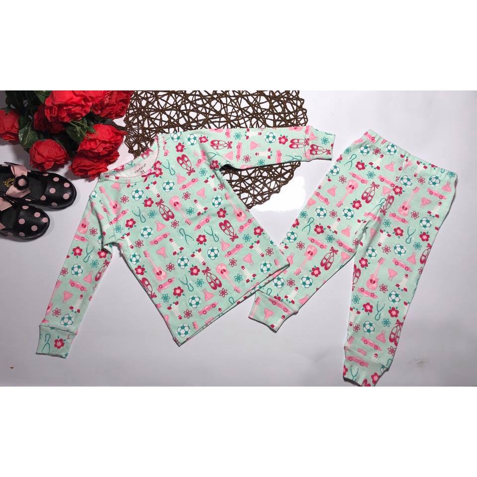 Bộ dài tay cho bé gái thun borip hàng Carter
