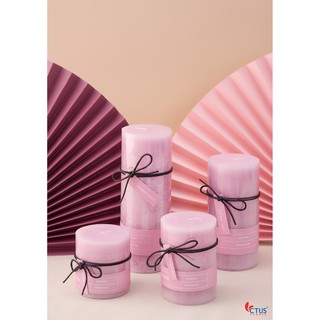 Nến Trụ Ctus Candle