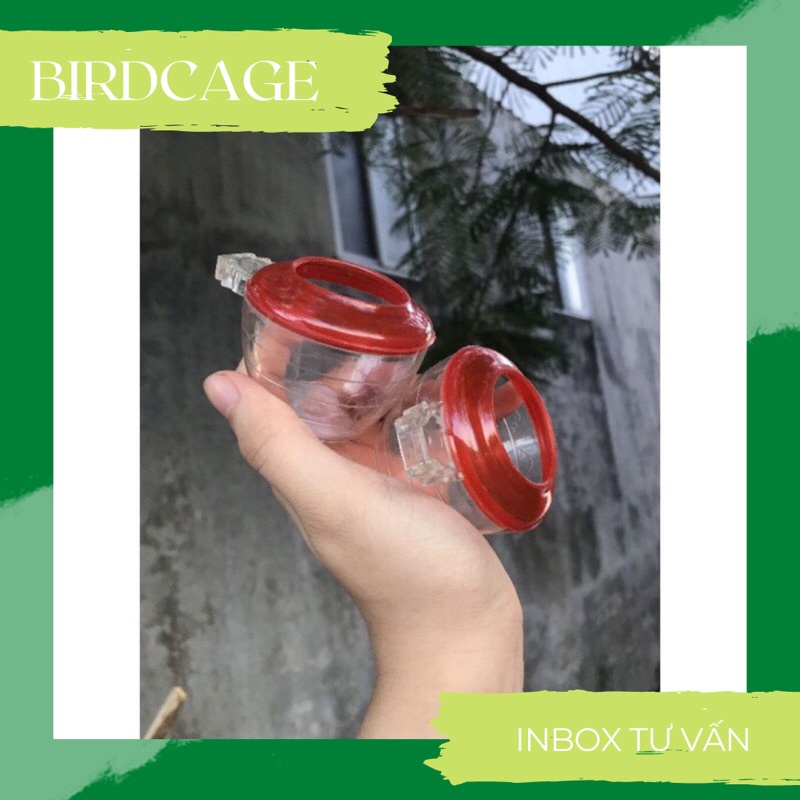 CÓNG SƠN CA NHỰA GIÁ RẺ 1 ĐÔI SIZE TO