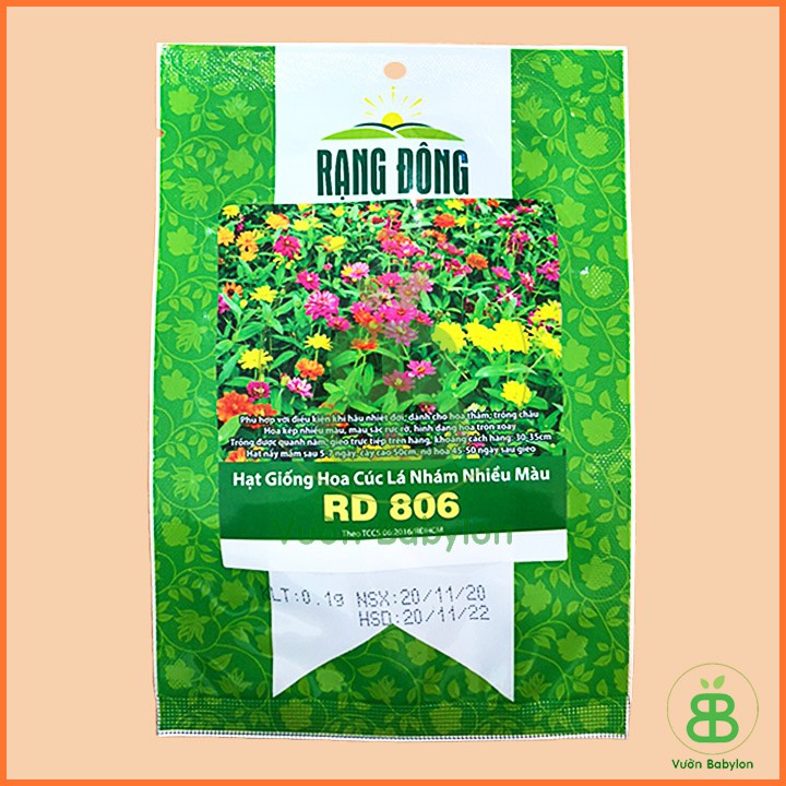Hạt Giống Hoa Cúc Lá Nhám Nhiều Màu Dễ Trồng