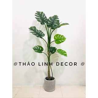 Cây trầu bà Nam mĩ giả trang trí cao cấp 130cm
