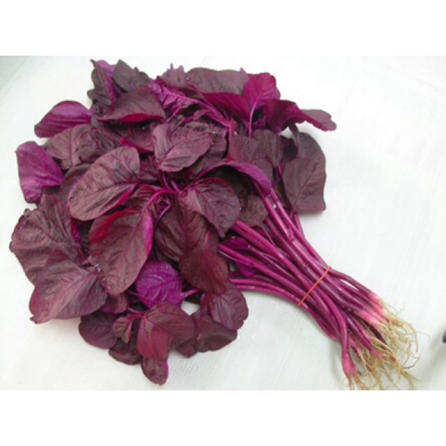 Hạt giống rau dền đỏ (20g)