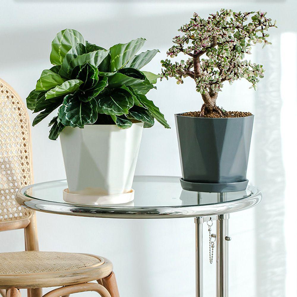 GOGOUP Bộ 3 Khay Trồng Cây Tiện Lợi