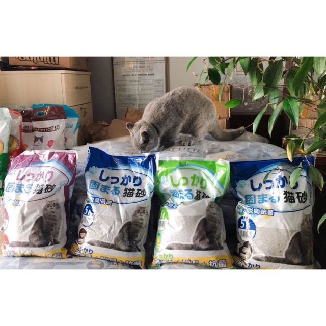 Cát vệ sinh Nhật Bản Cat Litter Kitty Pet 5L cho mèo cát nhật trắng siêu vón khử mùi tốt