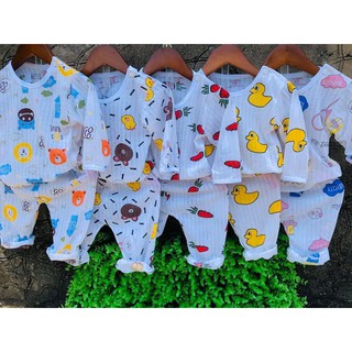combo bộ cotton giấy dài tay cho khách