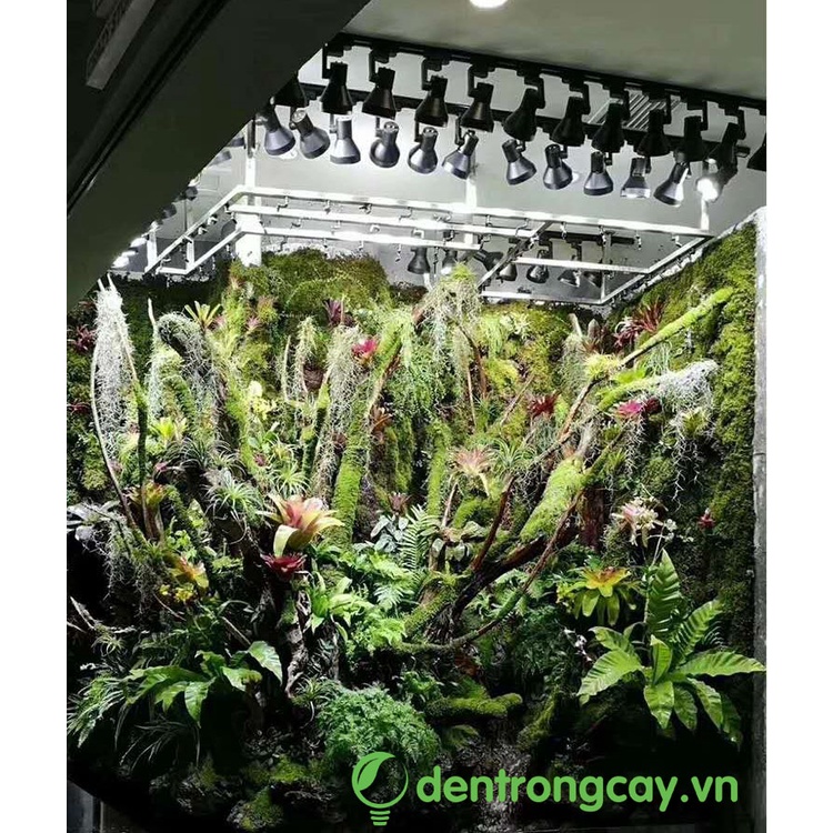 Đèn Led Ray RGB 35W/45W dùng cho cây trong nhà, bán cạn, thuỷ sinh